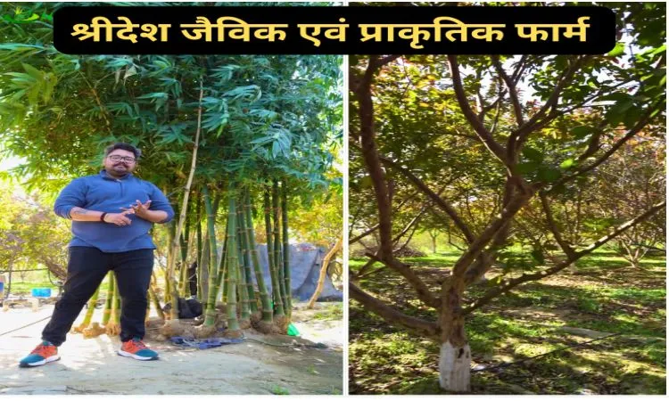 श्रीदेश जैविक एवं प्राकृतिक फार्म