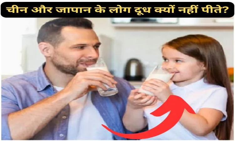 चीन और जापान के लोग दूध क्यों नहीं पीते?