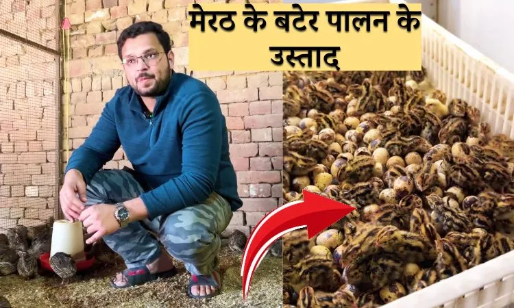 मेरठ के बटेर पालन के उस्ताद
