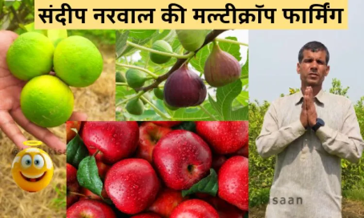संदीप नरवाल की मल्टीक्रॉप फार्मिंग