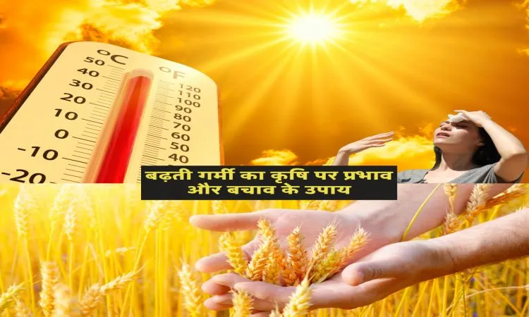 बढ़ती गर्मी का कृषि पर प्रभाव और बचाव के उपाय