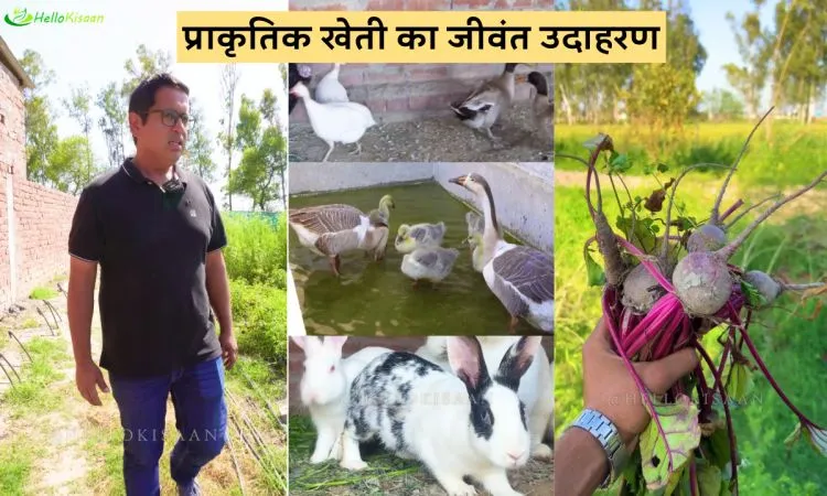 प्राकृतिक खेती का जीवंत उदाहरण