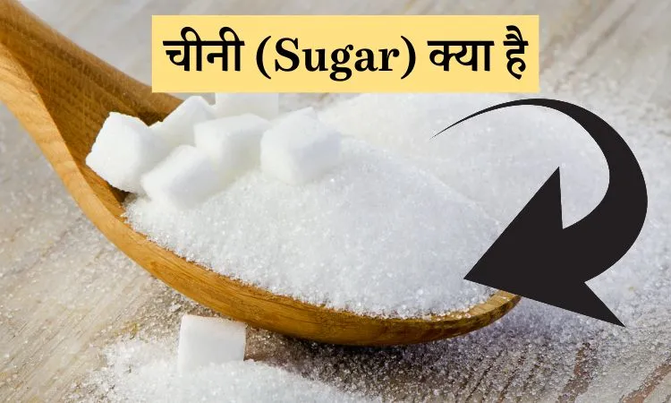 शुगर (चीनी) के प्रकार
