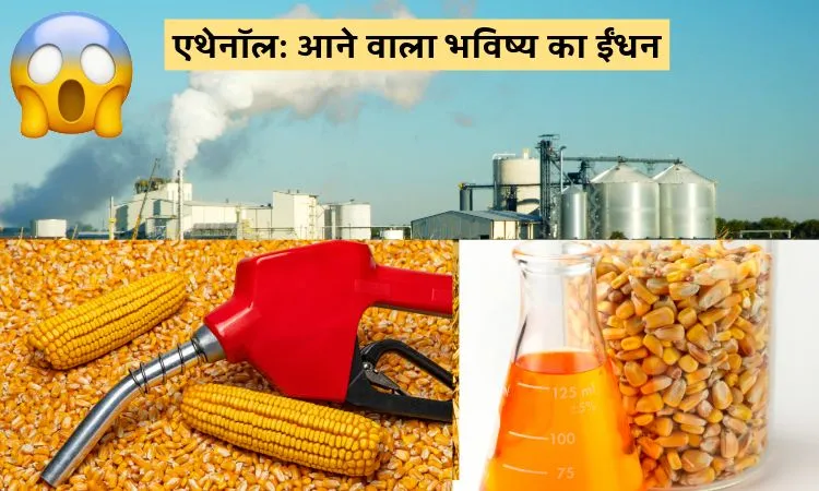 मक्का से एथेनॉल: आने वाला भविष्य का ईंधन