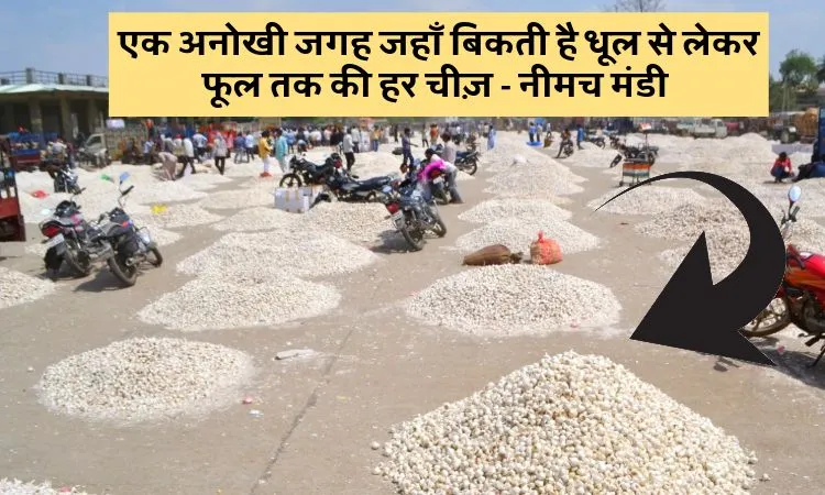 एक अनोखी जगह जहाँ बिकती है धूल से लेकर फूल तक हर चीज़ - नीमच मंडी