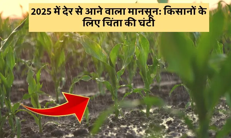 2025 में आने वाला मानसून: किसानों के लिए चिंता की घंटी