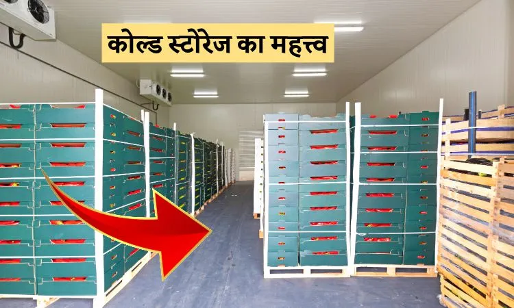 कोल्ड स्टोरेज का महत्त्व