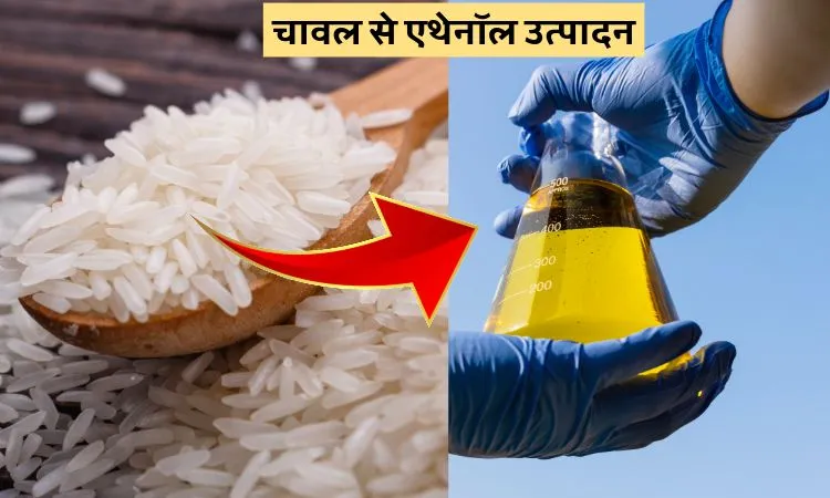 चावल से एथेनॉल उत्पादन