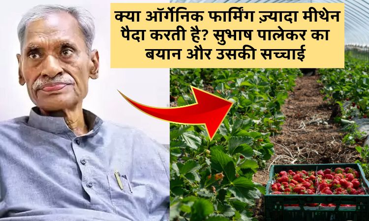 क्या ऑर्गेनिक फार्मिंग ज़्यादा मीथेन पैदा करती है? सुभाष पालेकर का बयान और उसकी सच्चाई