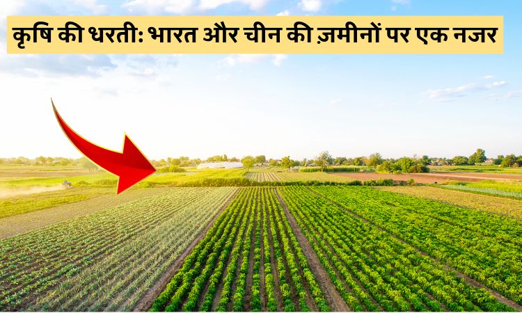 कृषि की धरती: भारत और चीन की ज़मीनों पर एक नजर