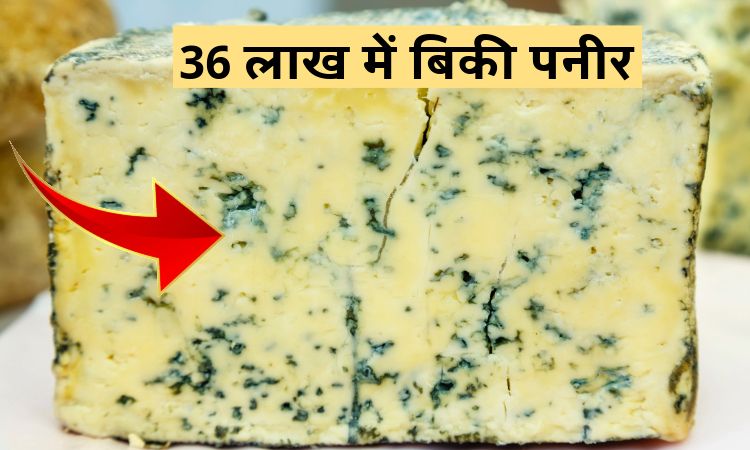 36 लाख में बिकी पनीर