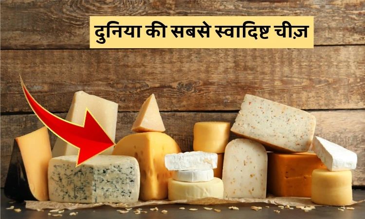 दुनिया की सबसे स्वादिष्ट चीज़