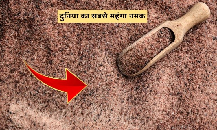 दुनिया का सबसे महंगा नमक