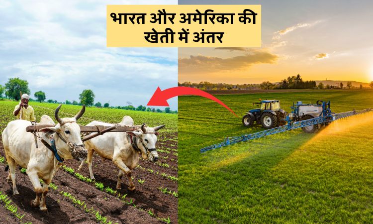 भारत और अमेरिका की खेती में अंतर