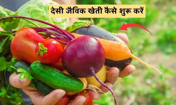 देसी जैविक खेती कैसे शुरू करें