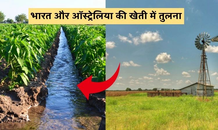 भारत और ऑस्ट्रेलिया की खेती में तुलना