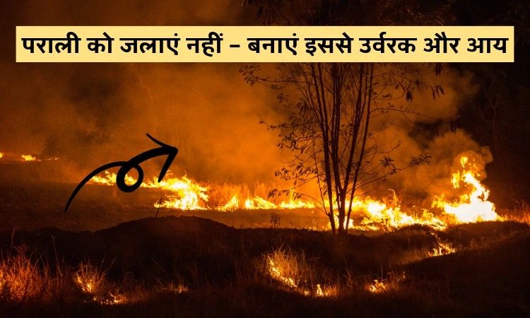 पराली को जलाएं नहीं – बनाएं इससे उर्वरक और आय