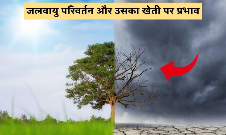 जलवायु परिवर्तन और उसका खेती पर प्रभाव