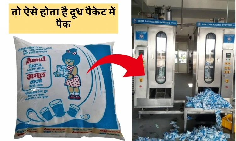 तो ऐसे होता है दूध पैकेट में पैक