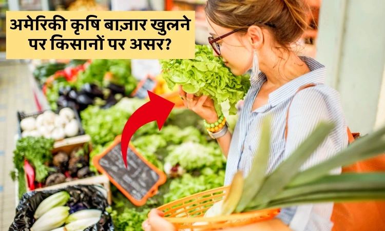 अमेरिकी कृषि बाज़ार खुलने पर किसानों पर असर?