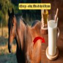 घोड़ी का दूध – अनोखा, पौष्टिक और सेहत के लिए खास