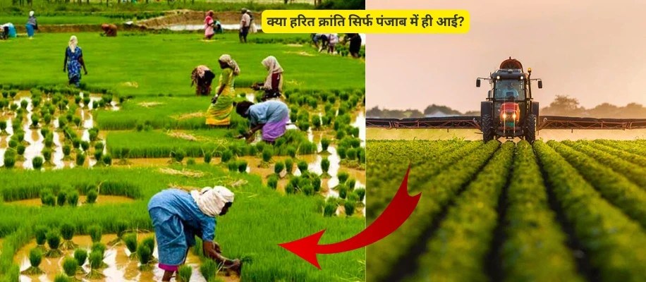 क्या हरित क्रांति सिर्फ पंजाब में ही आई?
