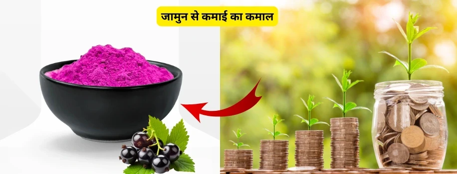 जामुन से कमाई का कमाल