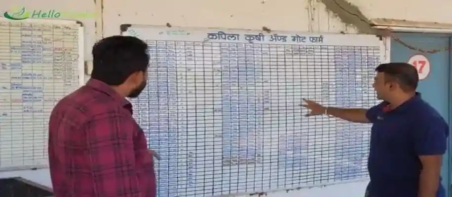 हाईटेक बकरी पालन में सफल हो मोटा लाभ कमा रहे लोग_6536