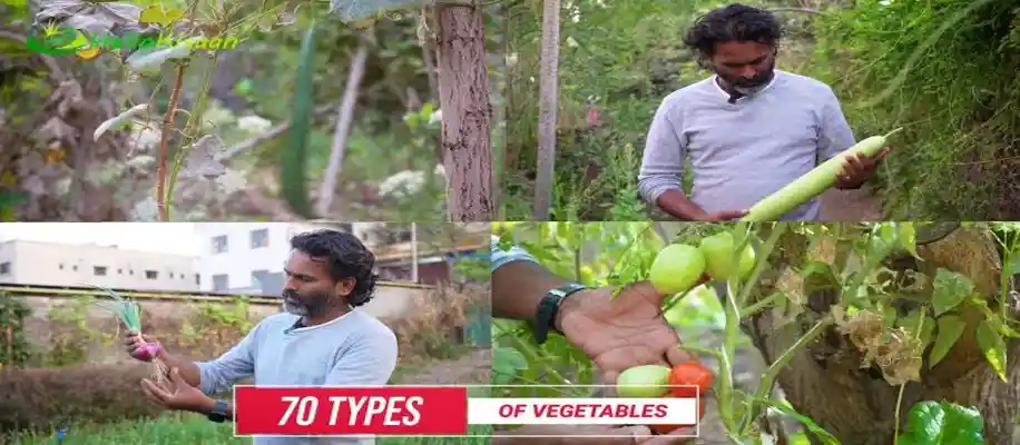 थोड़ी जगह में भी सैंकड़ों प्रकार की फसलें उगा कर किया कमाल_7942