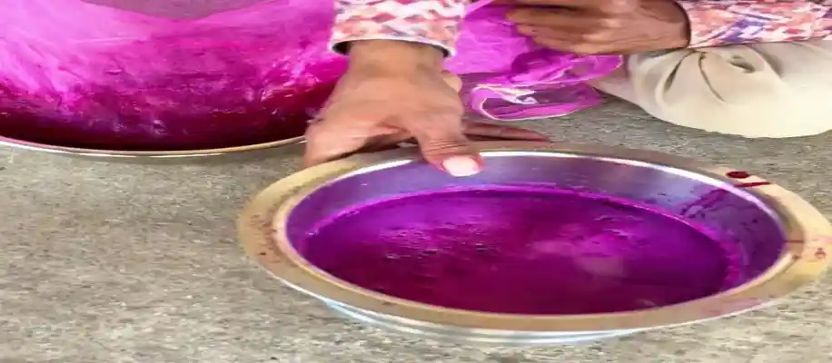 लहसुन बनाने की फैक्ट्री -मिनटों में कुंतलों लहसुन_7109