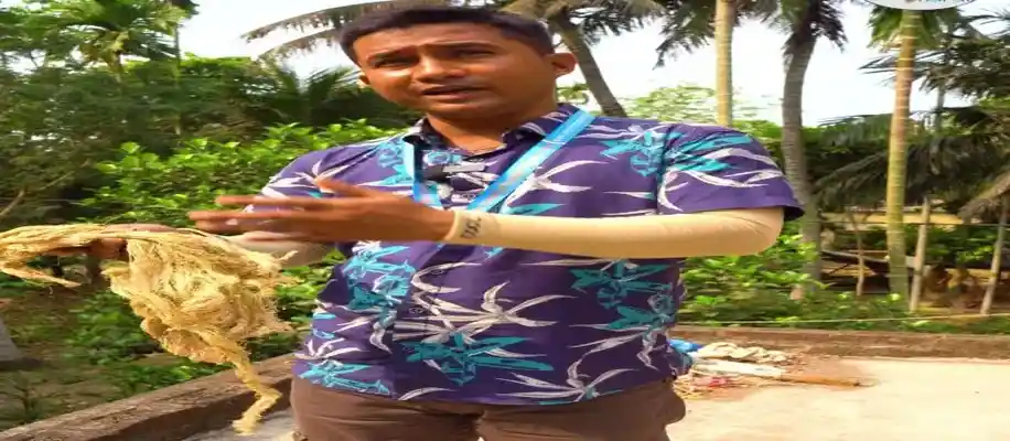 यह पौधा किसी सोने से कम नहीं_8299