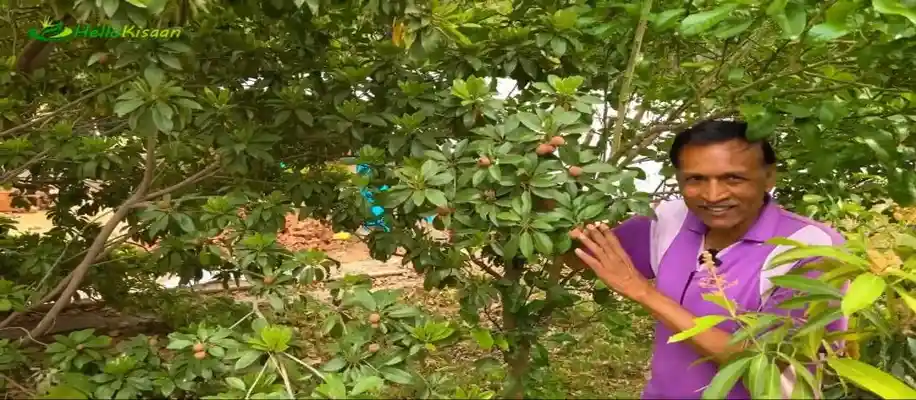 बंजार पहाड़ों को बना दिया उपजाऊ, कर डाली बेहतरीन खेती_9732