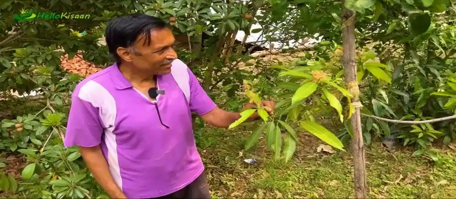 बंजार पहाड़ों को बना दिया उपजाऊ, कर डाली बेहतरीन खेती_9732