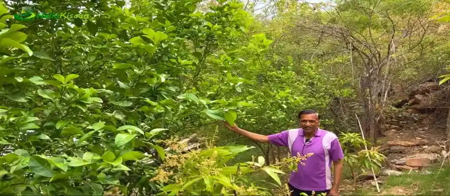 बंजार पहाड़ों को बना दिया उपजाऊ, कर डाली बेहतरीन खेती_9732