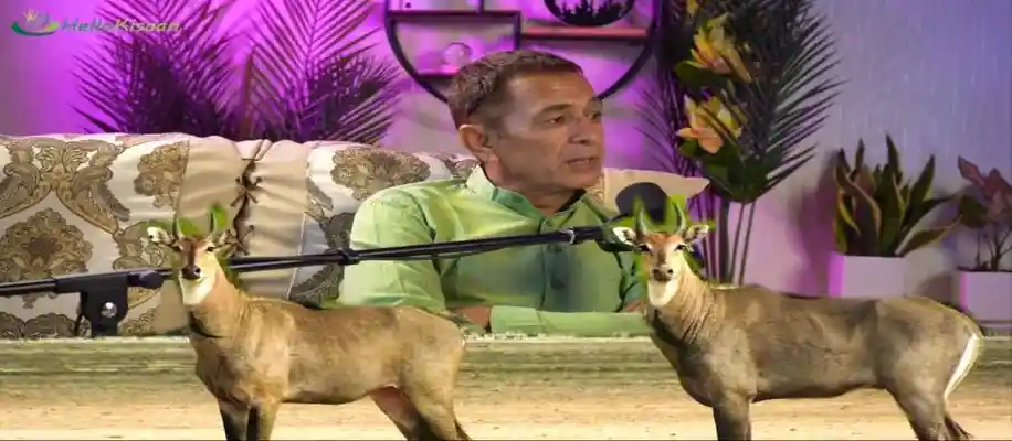 फूड फॉरेस्ट फार्मिंग से अदानी-अंबानी बनने का सफर_6368