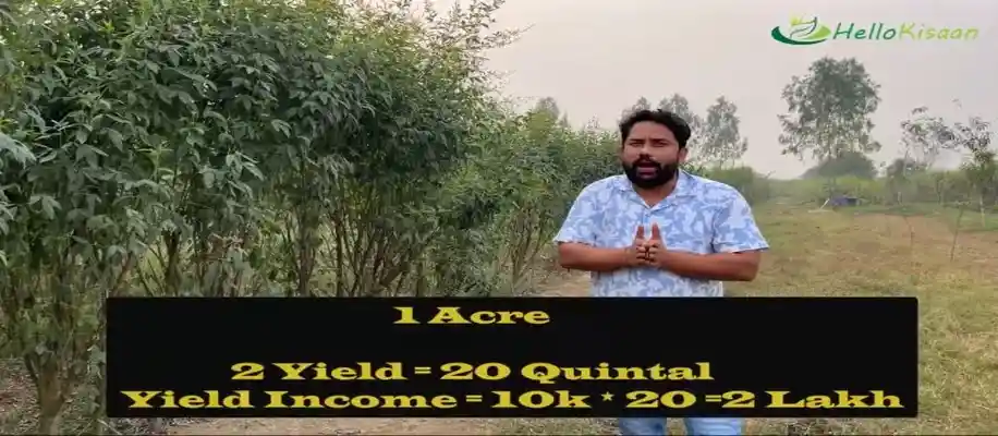कम मेहनत, कम लागत और ज्यादा मुनाफे वाली खेती_1448