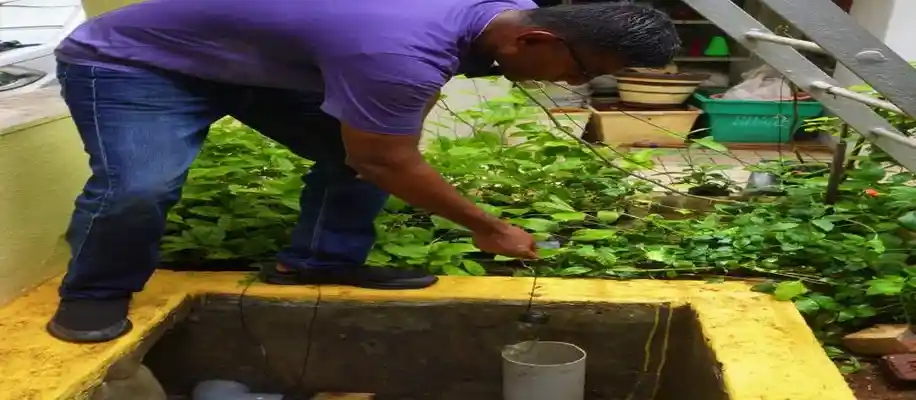 वाटर हार्वेस्टिंग का हाईटेक तरीका_4913