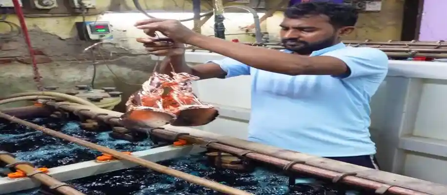 विशेष तकनीक से धात्विक मूर्तियां बनाने की चमत्कारी कला_6609