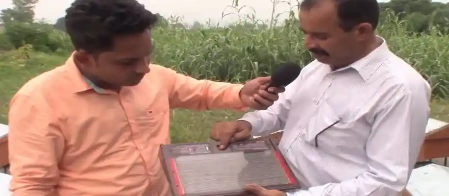 सोने से भी महंगा है मधुमक्खी से उत्पादित बी-वेनम_3932