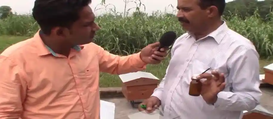 सोने से भी महंगा है मधुमक्खी से उत्पादित बी-वेनम_3932