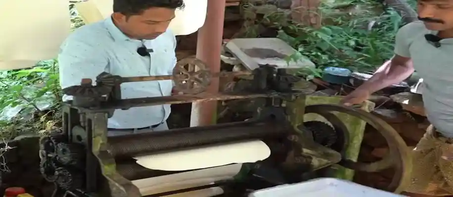 रबड़ बनाने का प्राकृतिक तरीका, जानकार रह जाएंगे दंग_7778