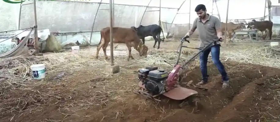 इंजीनियरिंग कर कृषि की कमान संभाल रहे पढ़े-लिखे युवा_3329