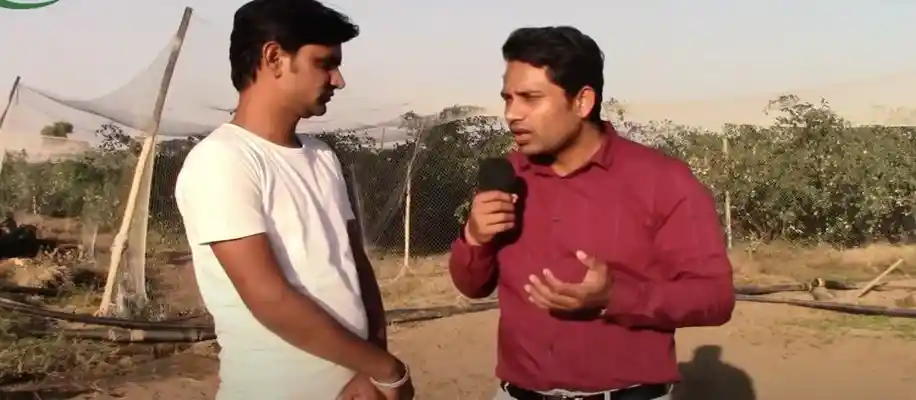 किसानों को धनवान बना रही एप्पल बेर की खेती_3293