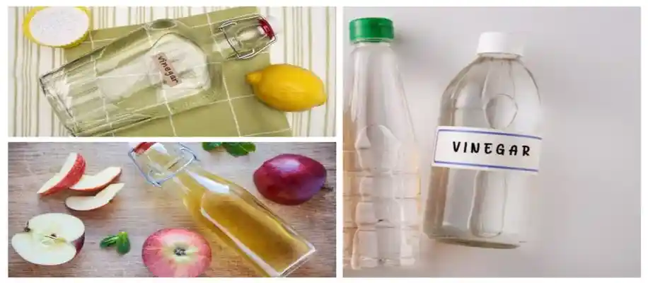 बहुउपयोगी सिरका (Vinegar) बनाने की विधि_5011