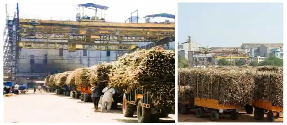 मिलों में चीनी बनाने की आधुनिक तकनीक_6011