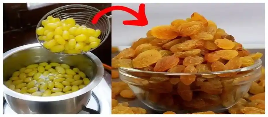 अंगूर से किशमिश बनाने के शानदार तरीके_5702