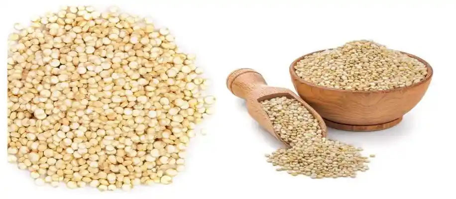 सुपरफूड्स की खेती और उनके लाभ_5819