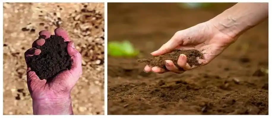 खेती के लिए किस प्रकार की मिट्टी अच्छी होती है?_9454