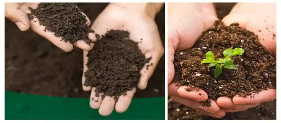 खेती के लिए किस प्रकार की मिट्टी अच्छी होती है?_9454
