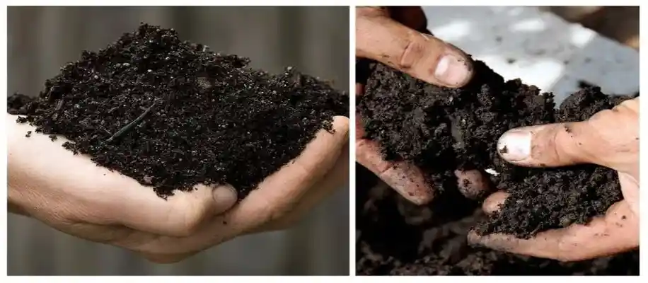 खेती के लिए किस प्रकार की मिट्टी अच्छी होती है?_9454